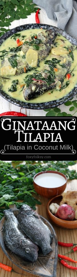Try this creamy and spicy, Ginataang Tilapia (Tilapia in coconut milk) recipe. All done in less than 15 minutes! | www.foxyfolksy.com